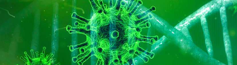 короновирус COVID19